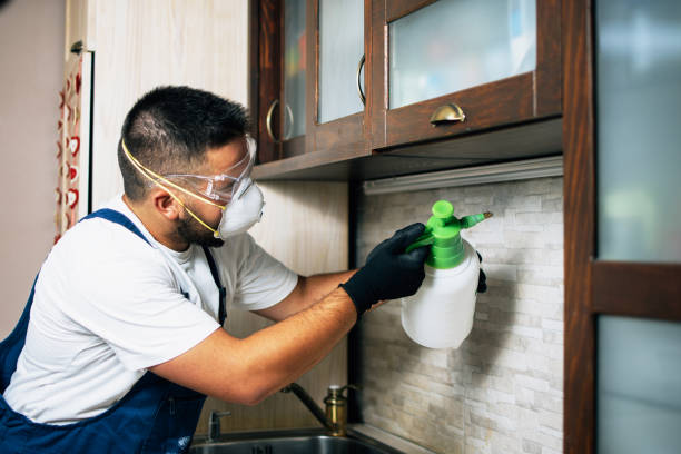 Best Pest Removal Services  in Woodlake, VA