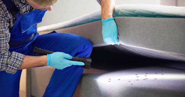 Best Local Pest Control Services  in Woodlake, VA