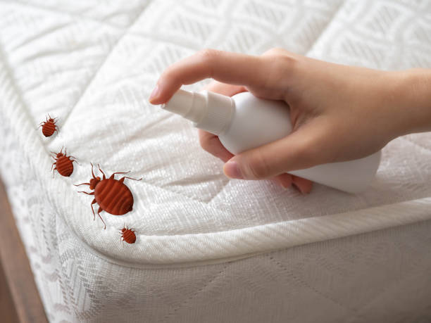  Woodlake, VA Pest Control Pros