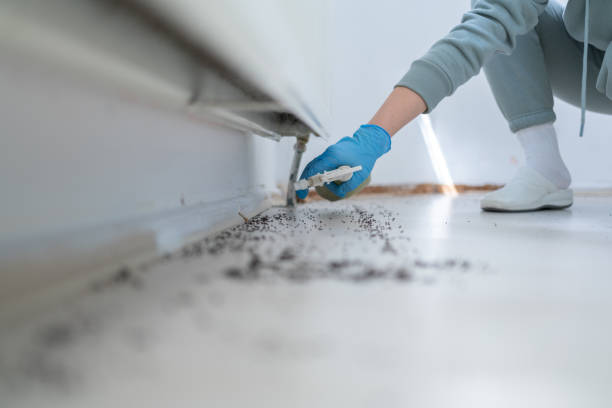 Best Pest Control Near Me  in Woodlake, VA